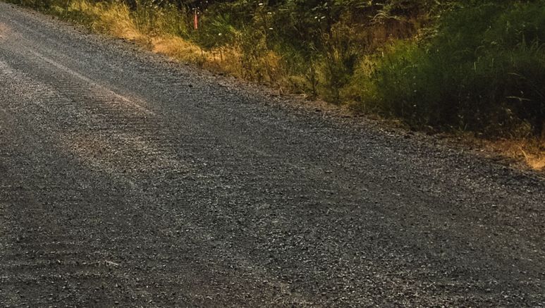 Skogsväg med grus